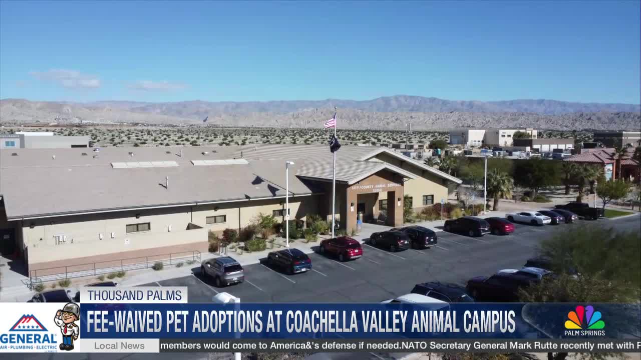 Adoption Fees Waived at Coachella Valley Animal Campus Through July 26