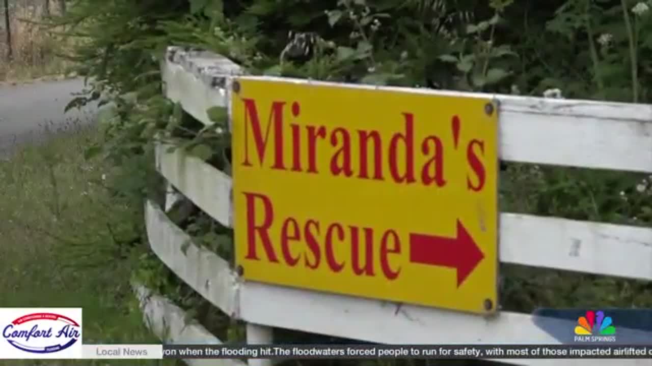 Animal Advocates Ask California AG to Act Against Rescue