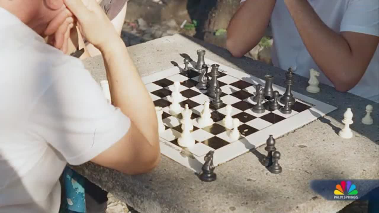 Ginger Cats, Love Letters, and a Little Chess, Rook and Roll Into September with Hashtag Holiday Calendar and Pop Quiz