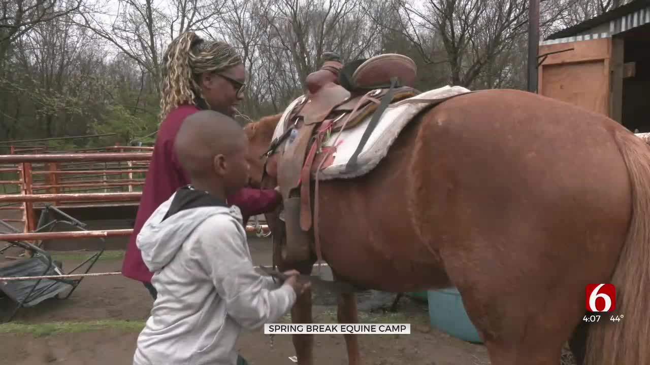 Overcross Spring Break Camp Helps Kids Talk About Mental Health While Working With Horses