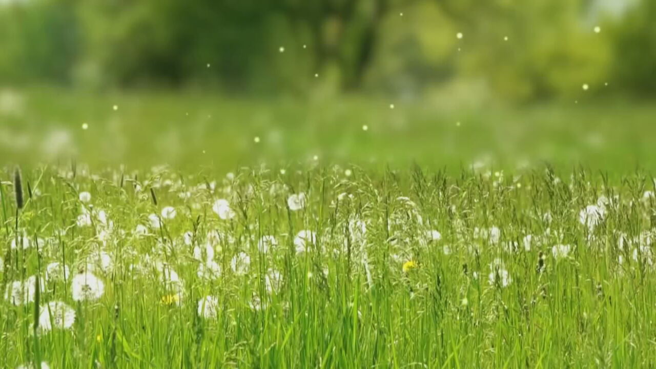 Are Spring Allergies Worse This Season? Tulsa Rated 6th Worst Place For