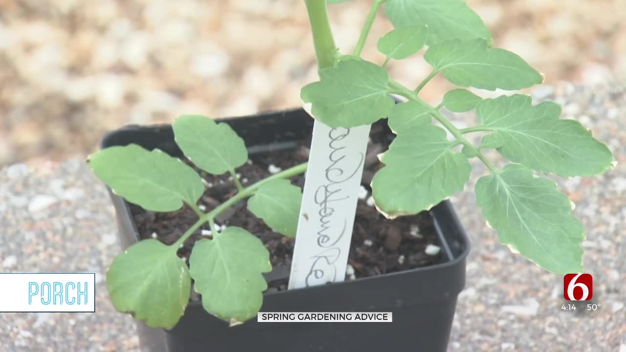 Tulsa Garden Center Offers Tips For Veggie Planting Season
