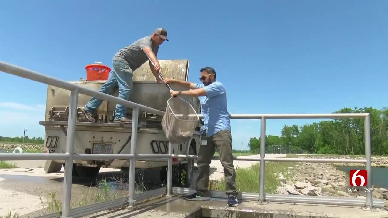 Bluegill, Tilapia Added To Broken Arrow Reservoir Help Keep Water Clean