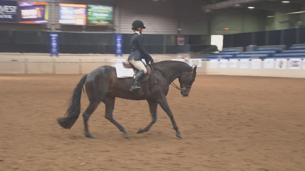 Pinto World Championship Happening At Tulsa Fairgrounds Brings People From Across The Country