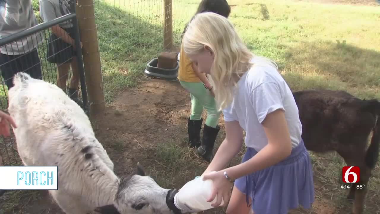 Kellyville Farm Hosts Camp To Teach Kids More About Animals