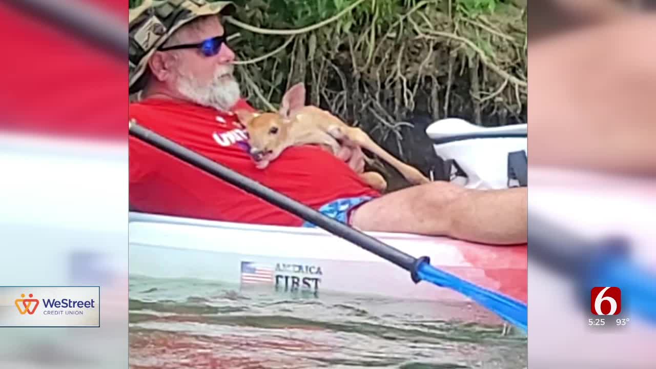 Man Saves Baby Deer From Drowning In Illinois River