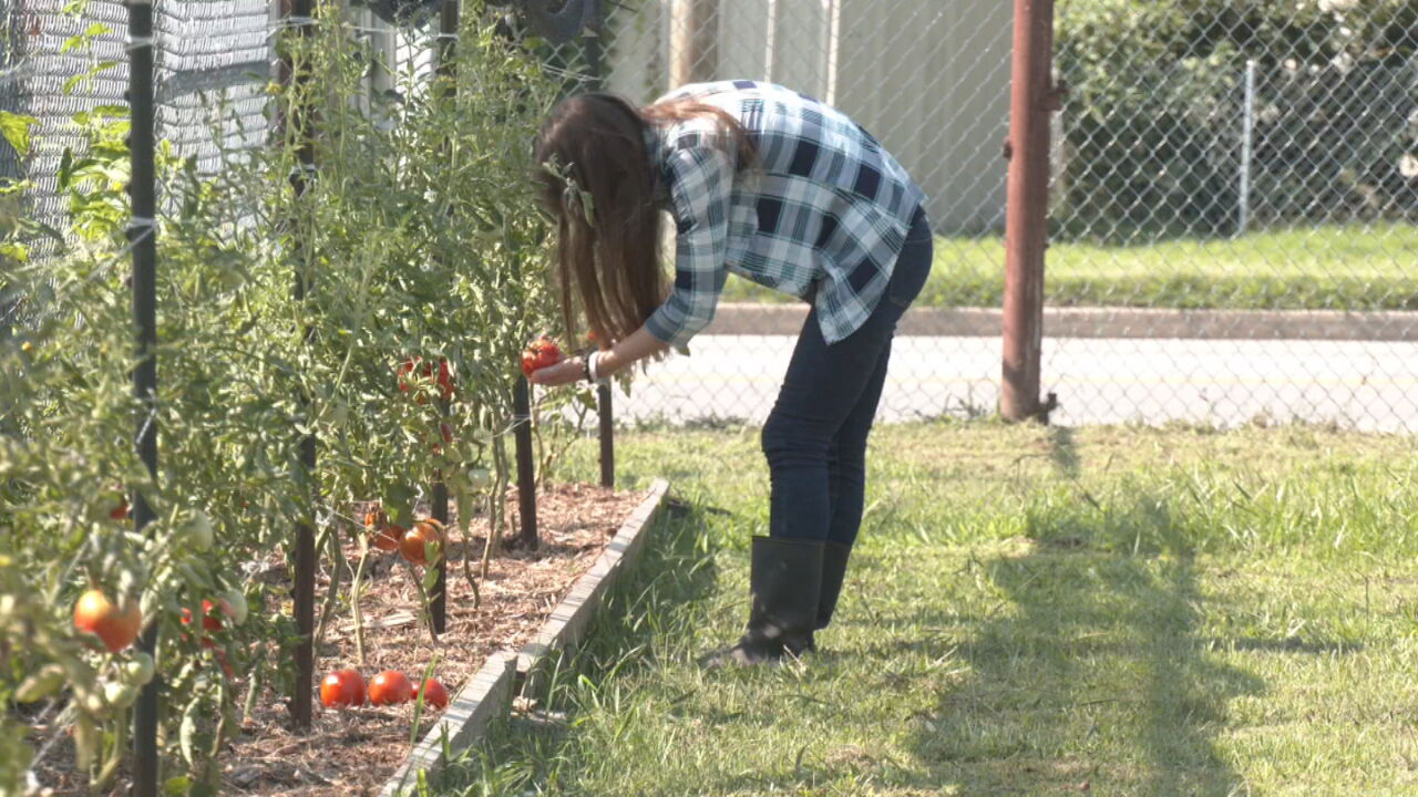 AARP Grant Will Help Food On The Move’s Mission To Combat Food Insecurity In Oklahoma