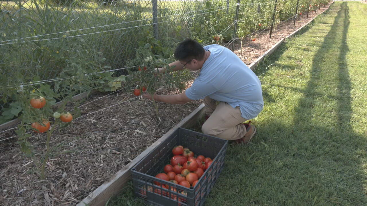 Grant From AARP Empowers Food On The Move’s Mission Against Food Insecurity In Oklahoma