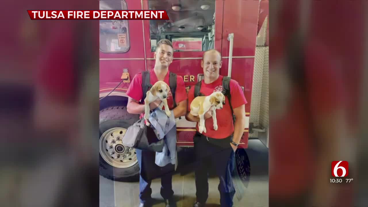 Tulsa Fire Academy Class Rescues 2 Puppies