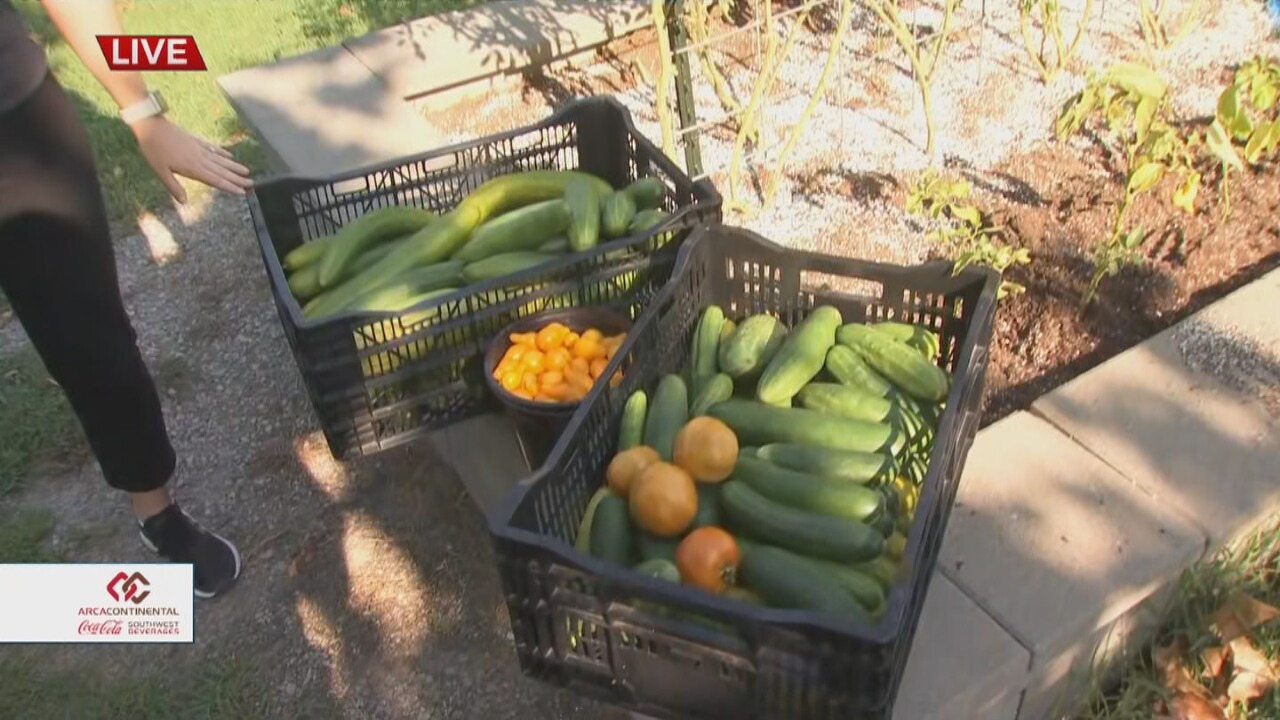 The Porch: Tulsa Nonprofit 'A New Leaf' Provides Lessons In Horticulture To Those With Developmental Disabilities