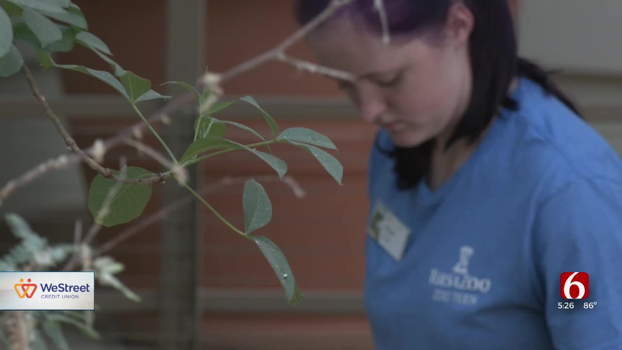 Young people volunteer at the Tulsa Zoo as part of a program