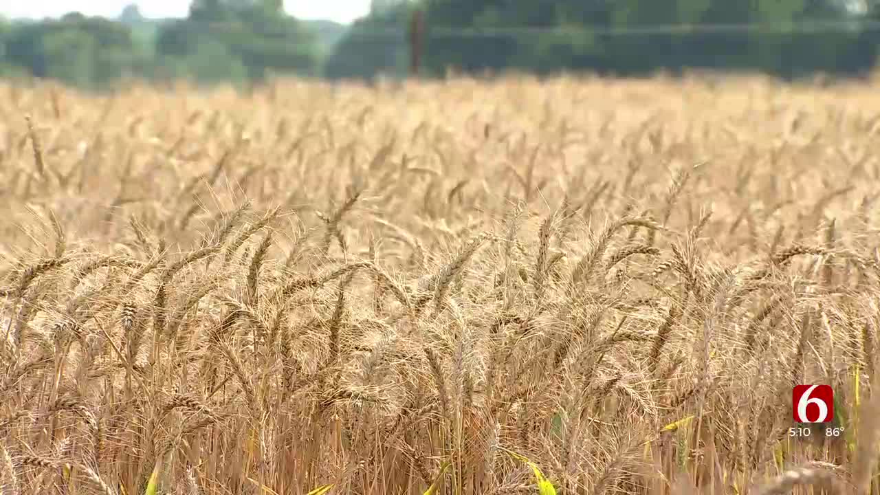 OSU Agronomy Research Station receives multi-million dollar donation to build new Agronomy Discovery Center