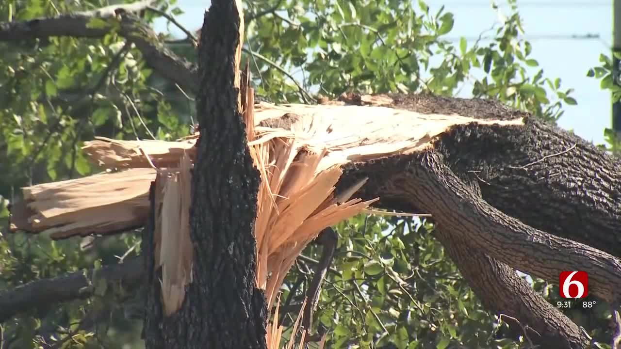 Cleanup efforts underway after storm damage in Sequoyah County