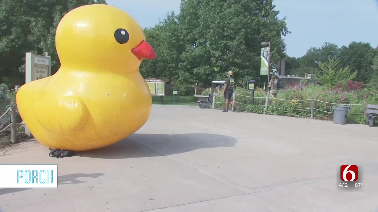 Timmy the Duck tours Tulsa ahead of Labor Day Party