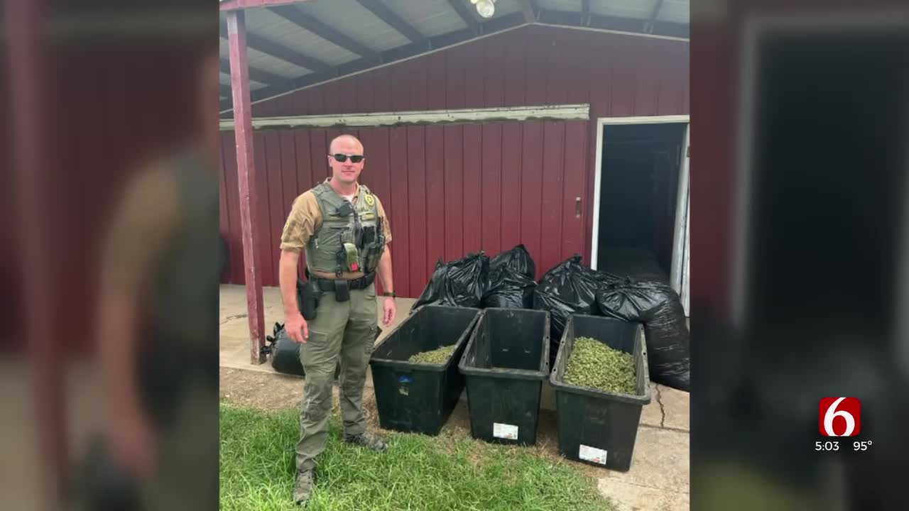 Over 1,000 Pounds Of Marijuana, Thousands Of Plants Seized From Illegal Grow Operation In Okmulgee County