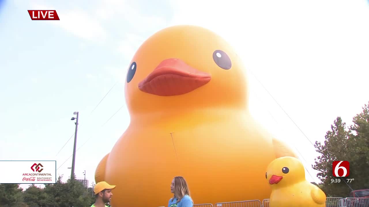 The Porch: Mama Duck Set Up At Zink Lake For Big Dam Party