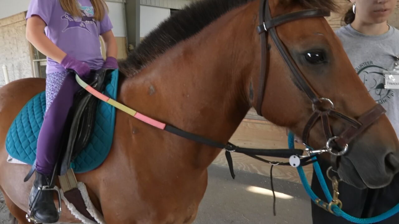 Therapeutic Riding Making A Difference In Children's Lives