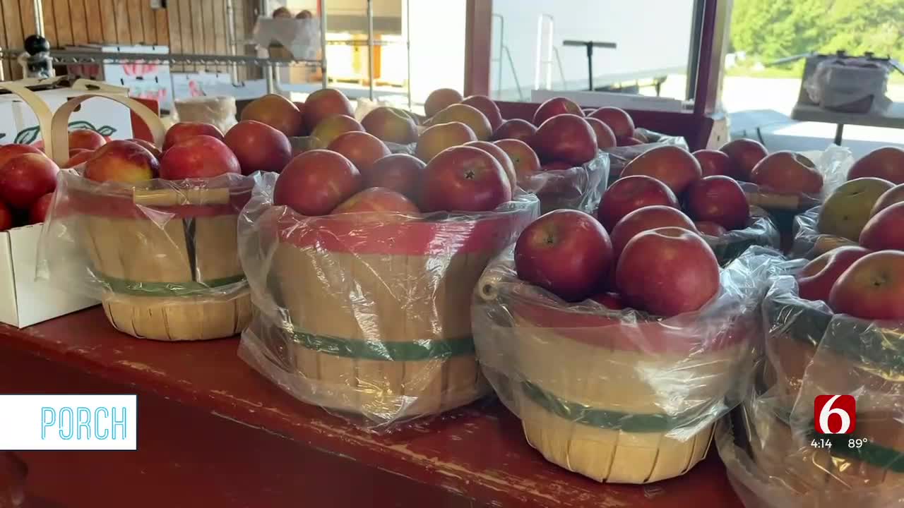 The Porch: Pick The Perfect Apples at Porter's Livesay Orchard