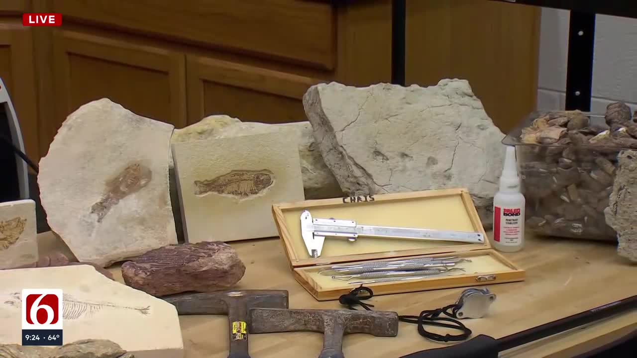 Students Can Now Explore Ancient Life In Rogers State University's First Paleontology Course