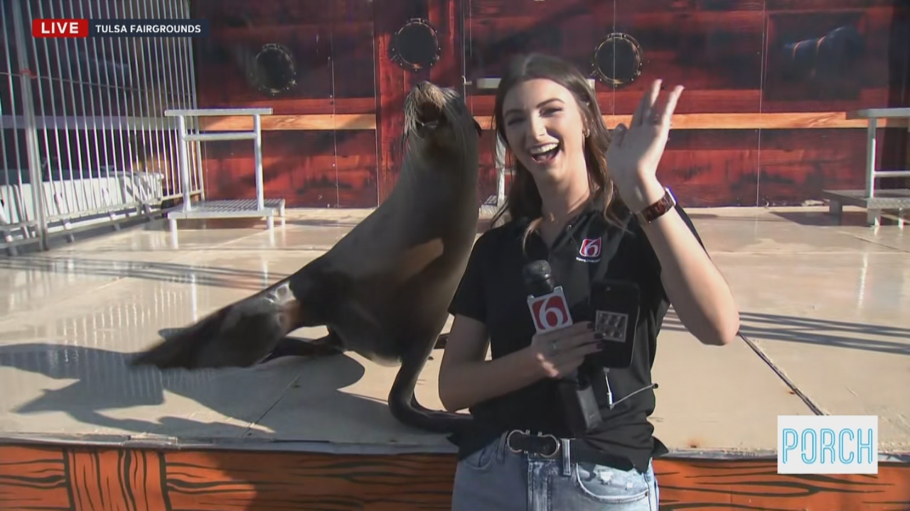 The Porch: Sea Lions Are Making Waves At The Tulsa State Fair