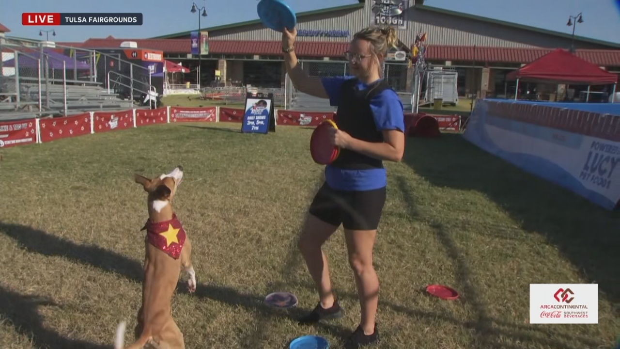 The Porch: Stunt Dog Show Returns To The Tulsa State Fair