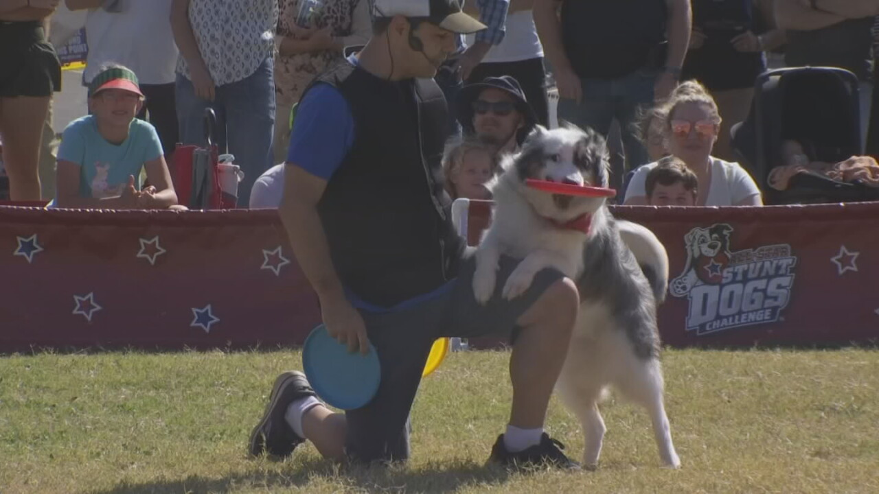 The Porch: Perondi’s Stunt Dogs and Dock Diving Show Returns to Tulsa State Fair for 20th Year