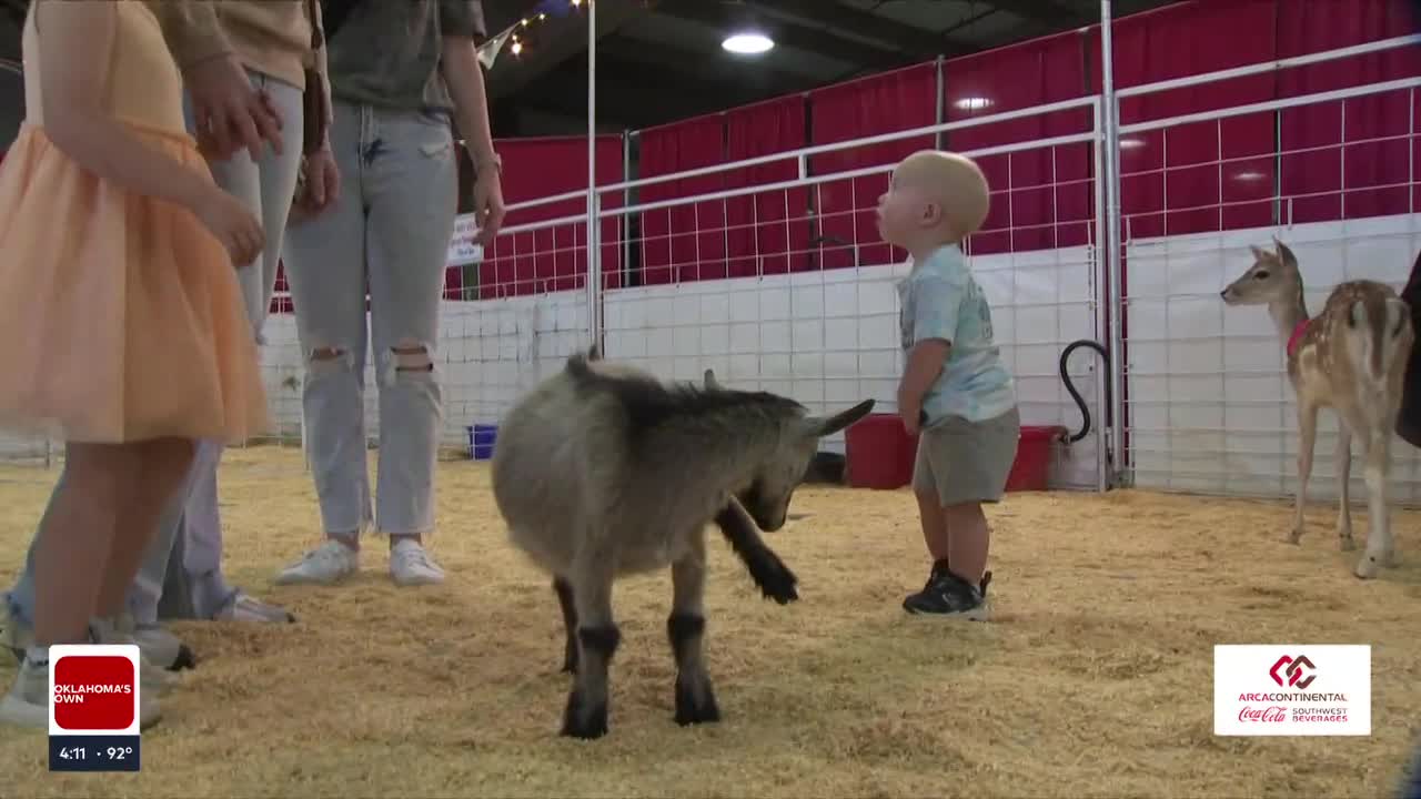 The Porch: Fairgoers Enjoy A Wild Time At Tulsa’s Petting Zoo