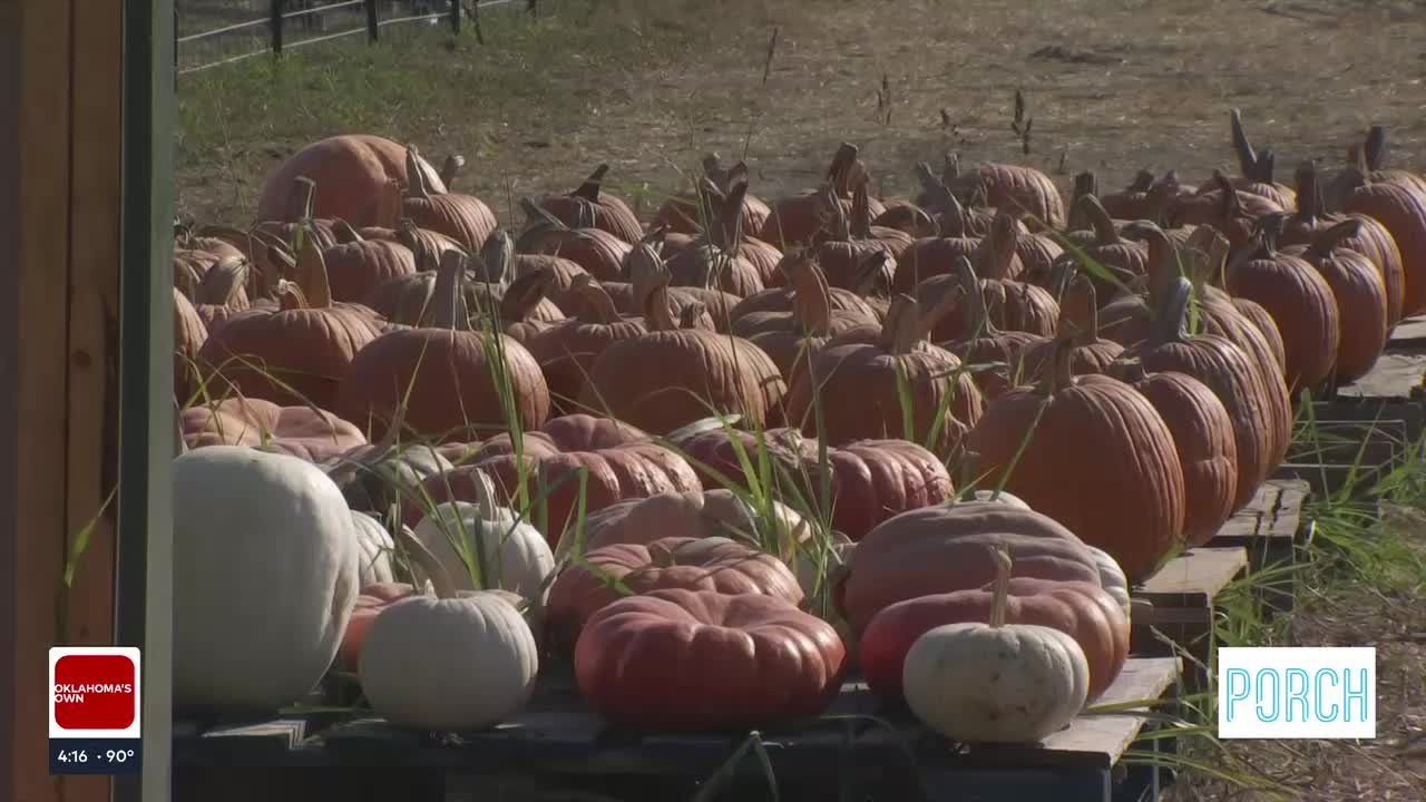 Oklahoma Heritage Farm Perfect To Celebrate Autumn With Fall Festival