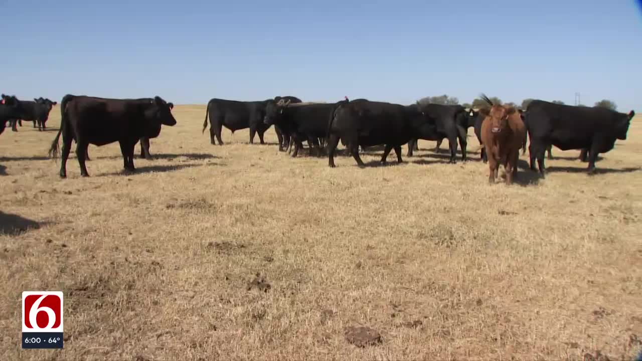 Severe drought poses challenges for farmers, ranchers and firefighters