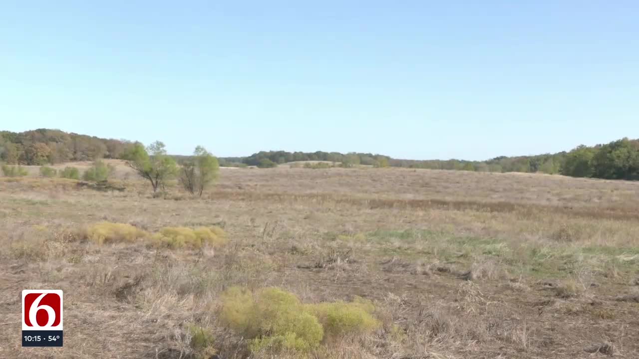 'It'll Just Belong To Nature': Wild Heart Ranch To Buy 40 Acres For ...