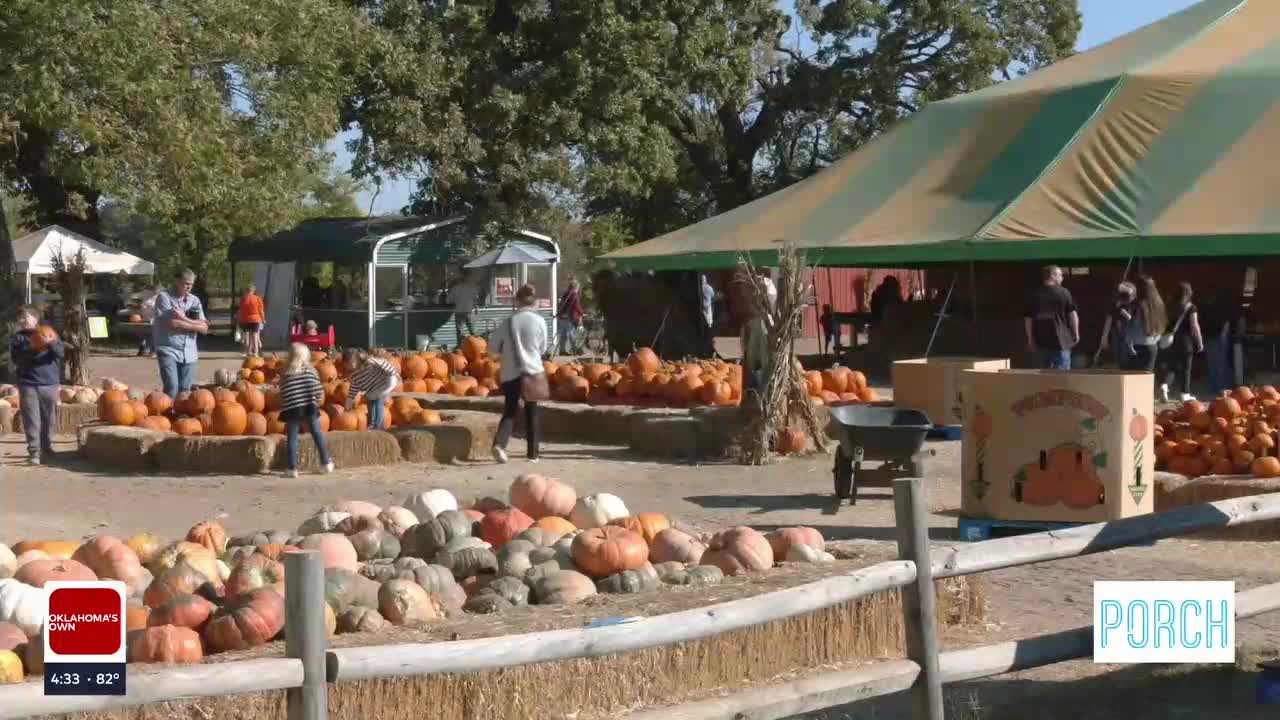 Carmichael's Pumpkin Patch Becomes Family Tradition For Many