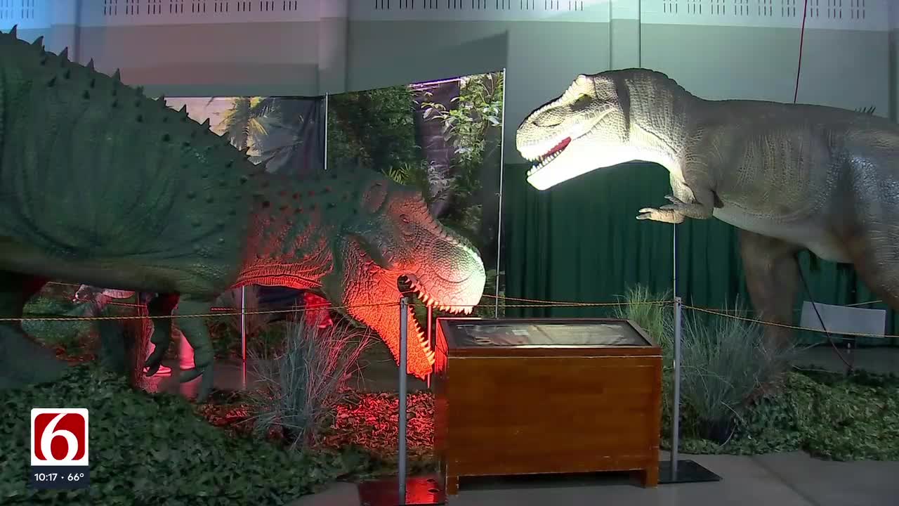 Families Step Back In Time On Final Day Of Dinosaur Adventure