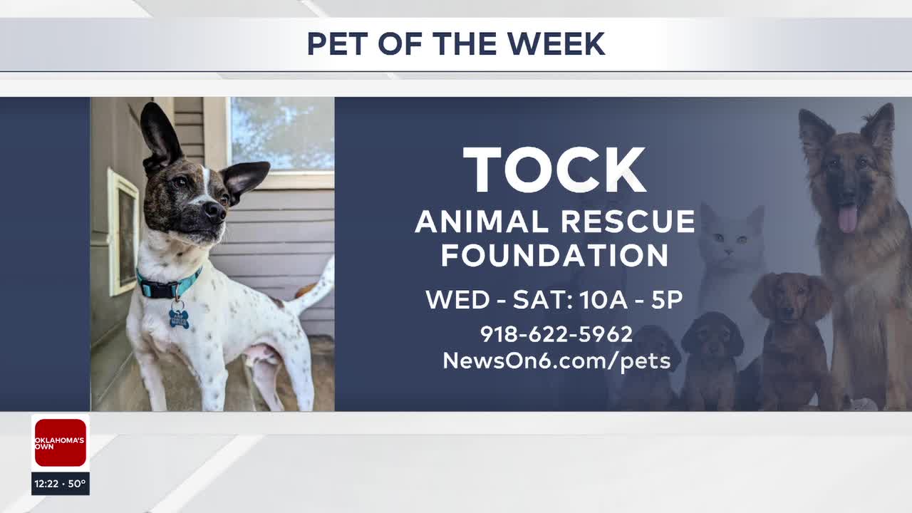 Pet of the Week: Tock