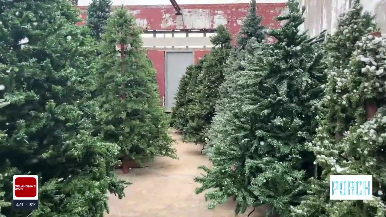 The Porch: Route 66 Christmas Tree Farm Transforms Tulsa's Historic Red Fork District