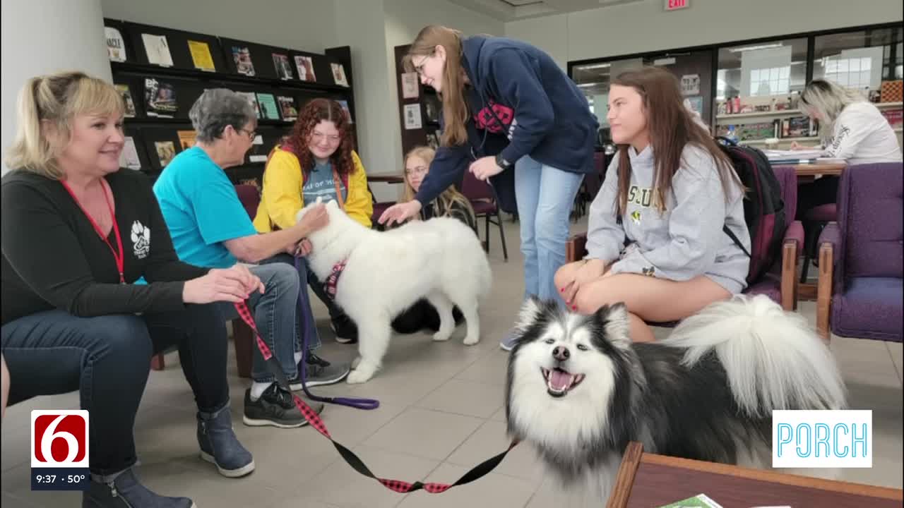 Therapy Dogs Help Students De-Stress At Roger State University