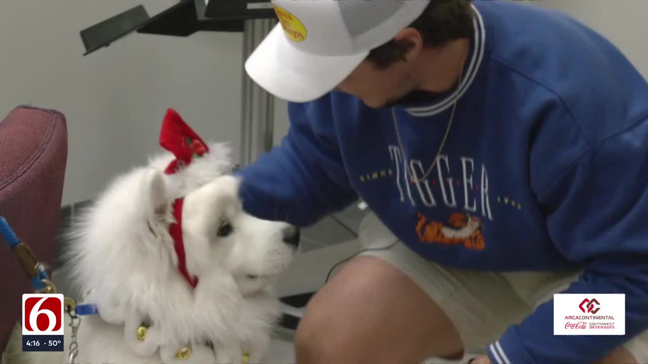 Rogers State University Students 'Paws And Relax' With Therapy Dogs