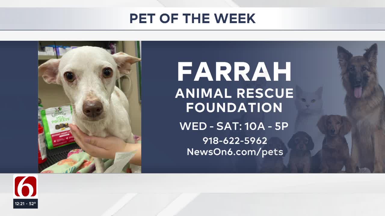 Pet of the Week: Farrah