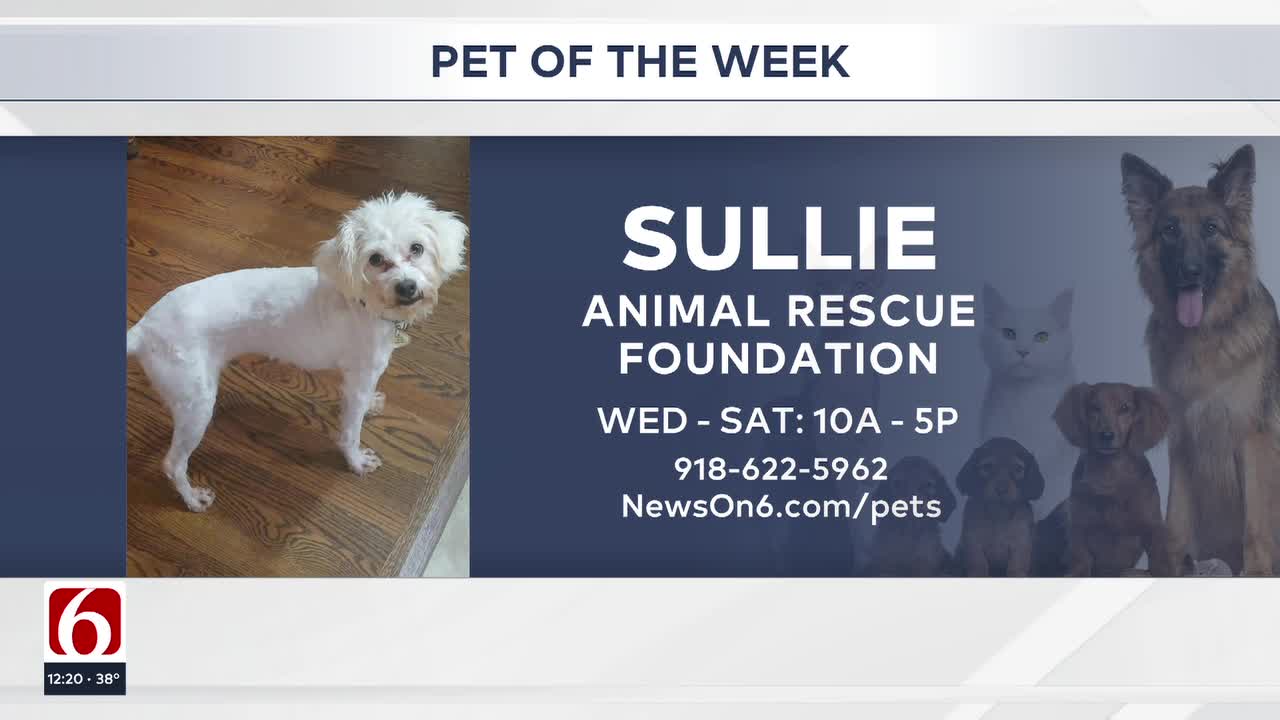 Pet Of The Week: Sullie