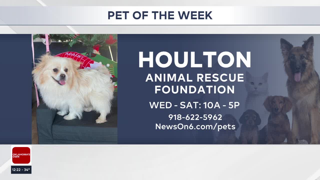 Pet of the Week: Houlton