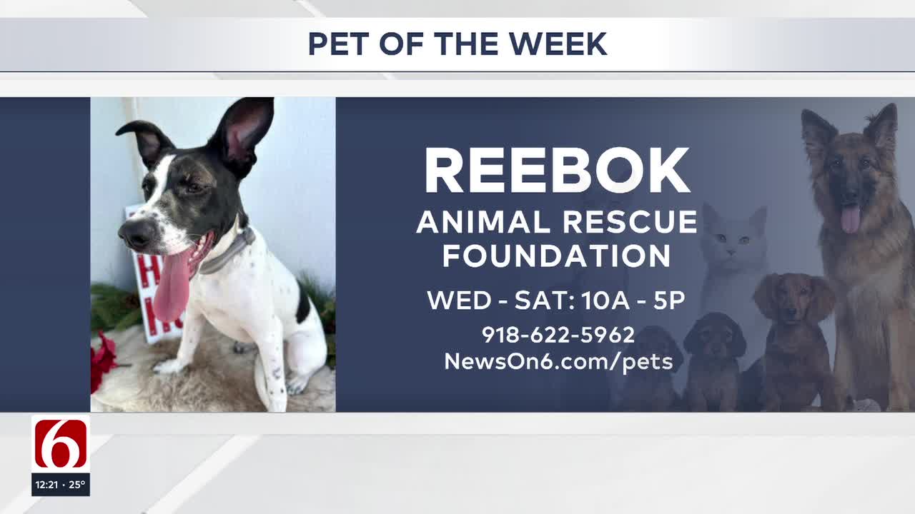 Pet of the Week: Reebok
