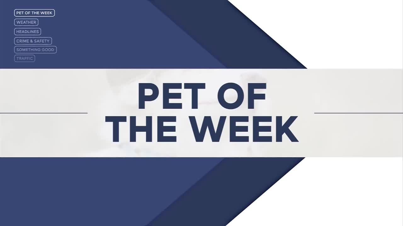 Pet of the Week: Menchie