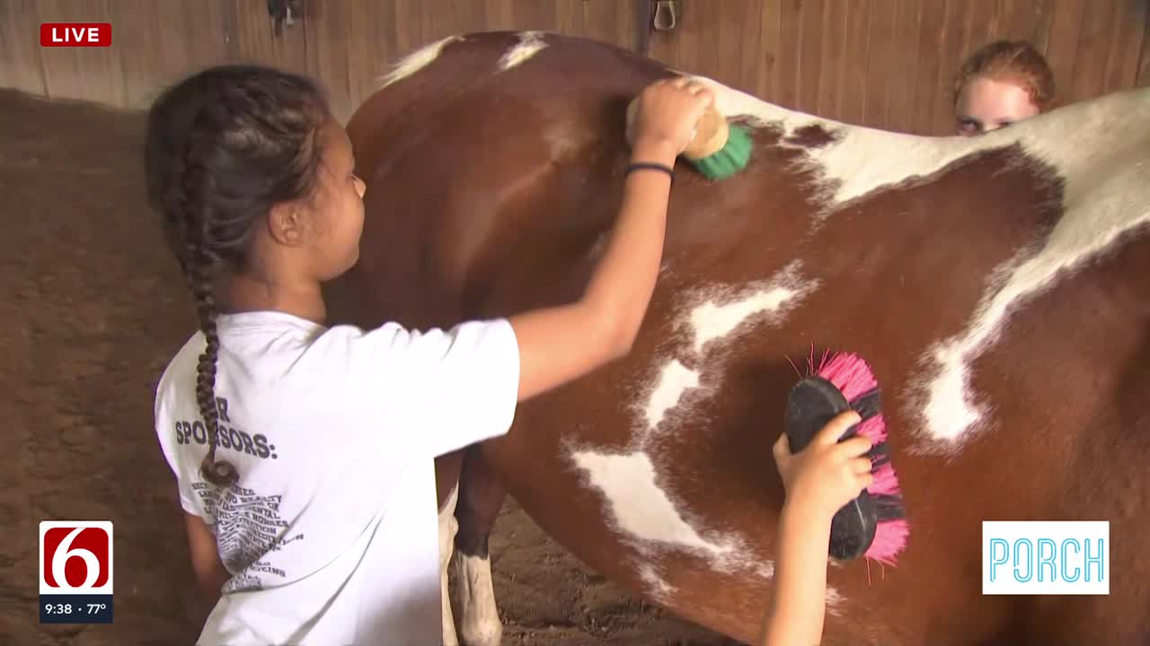 Summer camps in Kellyville teach kids about life on the farm