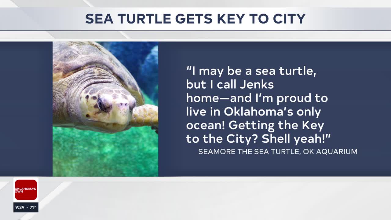 Jenks mayor declares 'Seamore Day,' honors Oklahoma Aquarium sea turtle