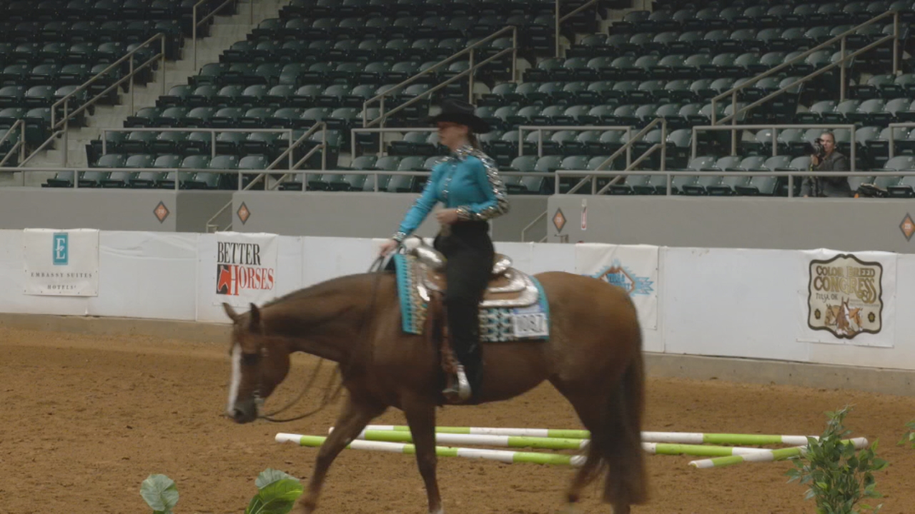 Exhibitors chase buckles, ribbons at Pinto World Championship in Tulsa