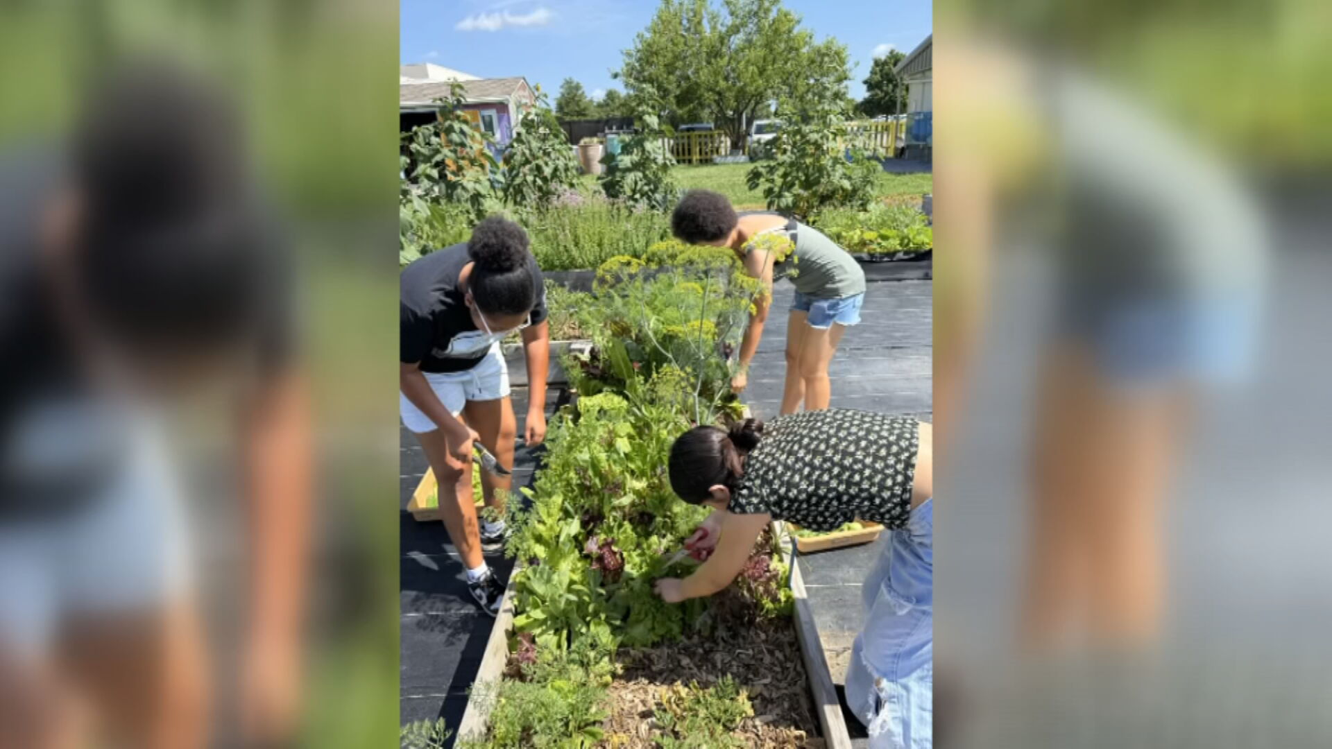 Veggie Van and Book Bus deliver food, books in Tulsa