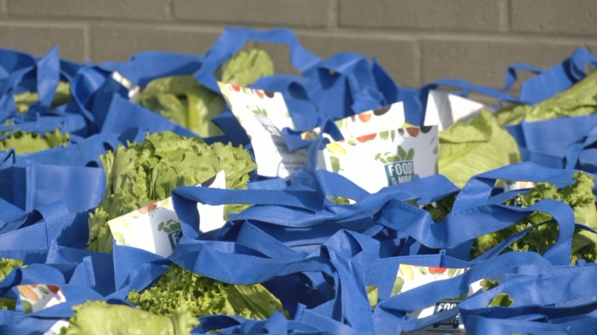 Food On The Move helps 900 families with food and resources