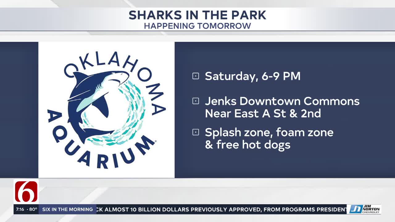 Sharks in the Park brings splashy fun to downtown Jenks
