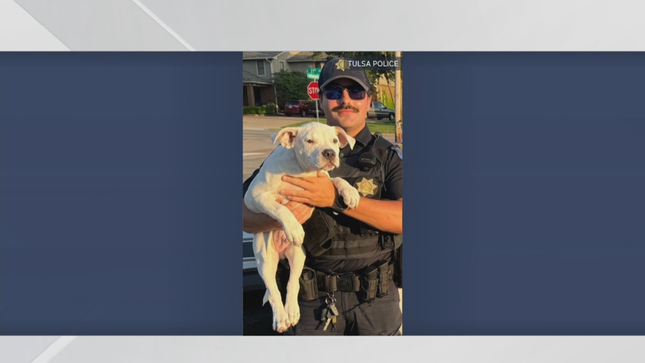 Tulsa police rescue stolen puppy; officers say quick action made the difference