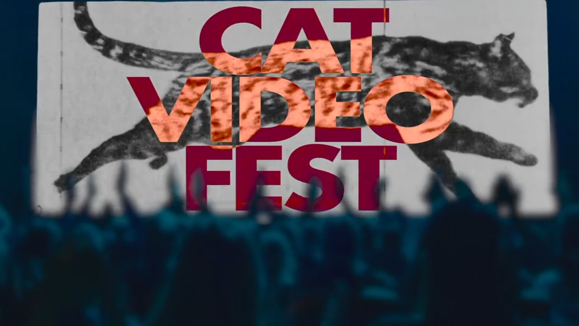 Cat video festival returns to Circle Cinema to support local shelters