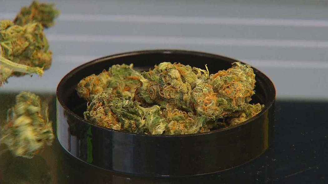 Recreational Marijuana in Oklahoma: What Makes State Question 837 Different From Past Efforts?